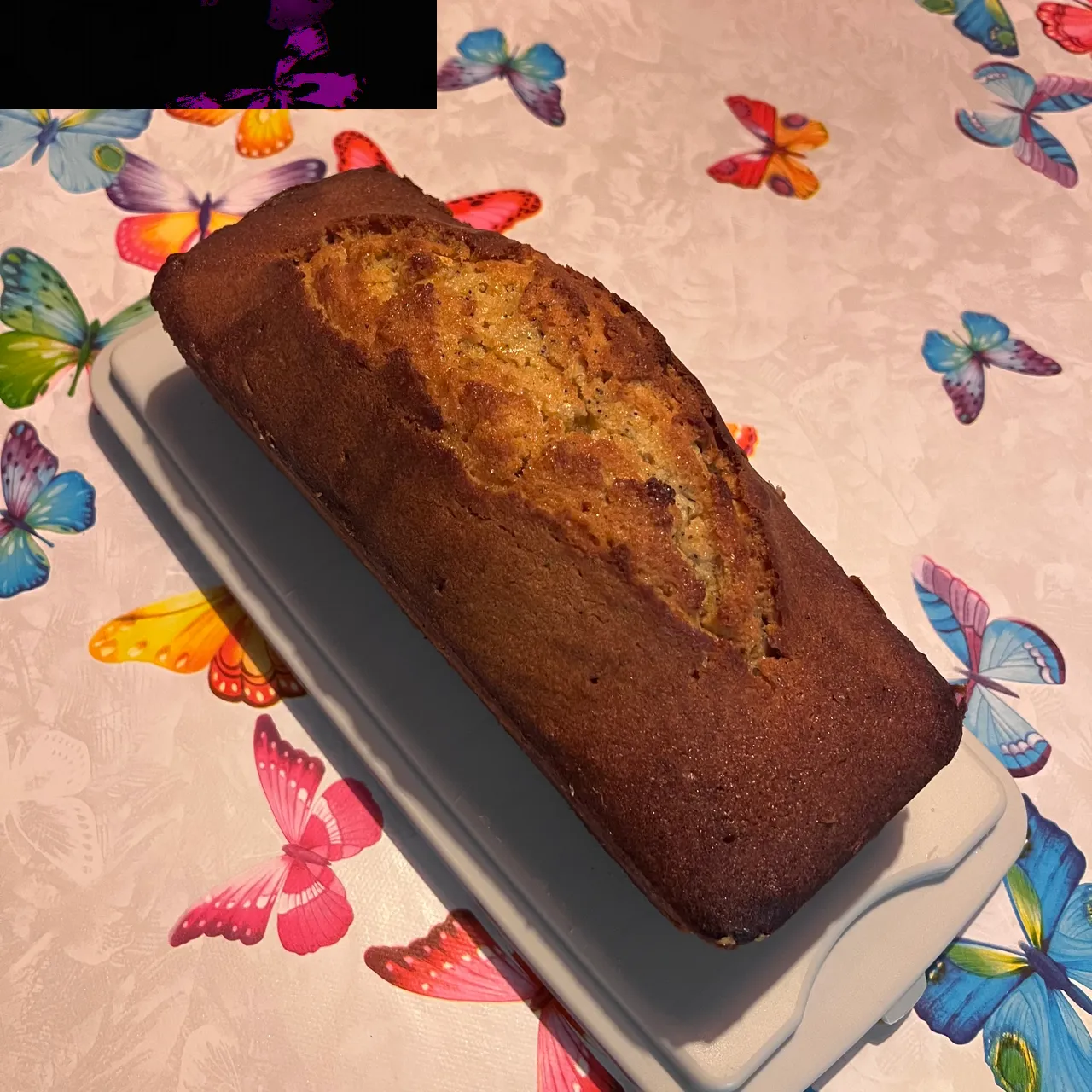 Cake imbibé au citron